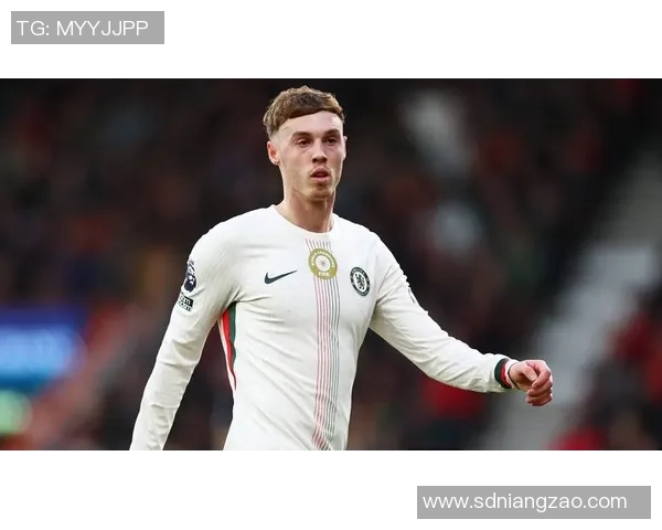 加的夫城与博尔顿比赛前瞻分析及胜负预测详解